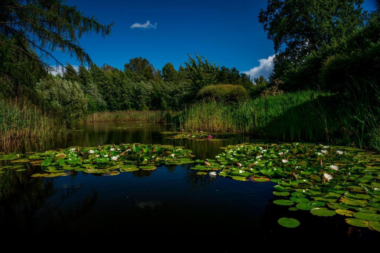 Idilliska Latgaliesu Lauku Maja Ar Melno Pirti Villa Aglona Exteriör bild
