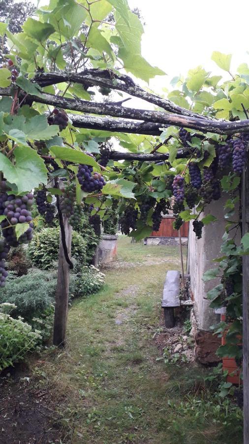 Idilliska Latgaliesu Lauku Maja Ar Melno Pirti Villa Aglona Exteriör bild